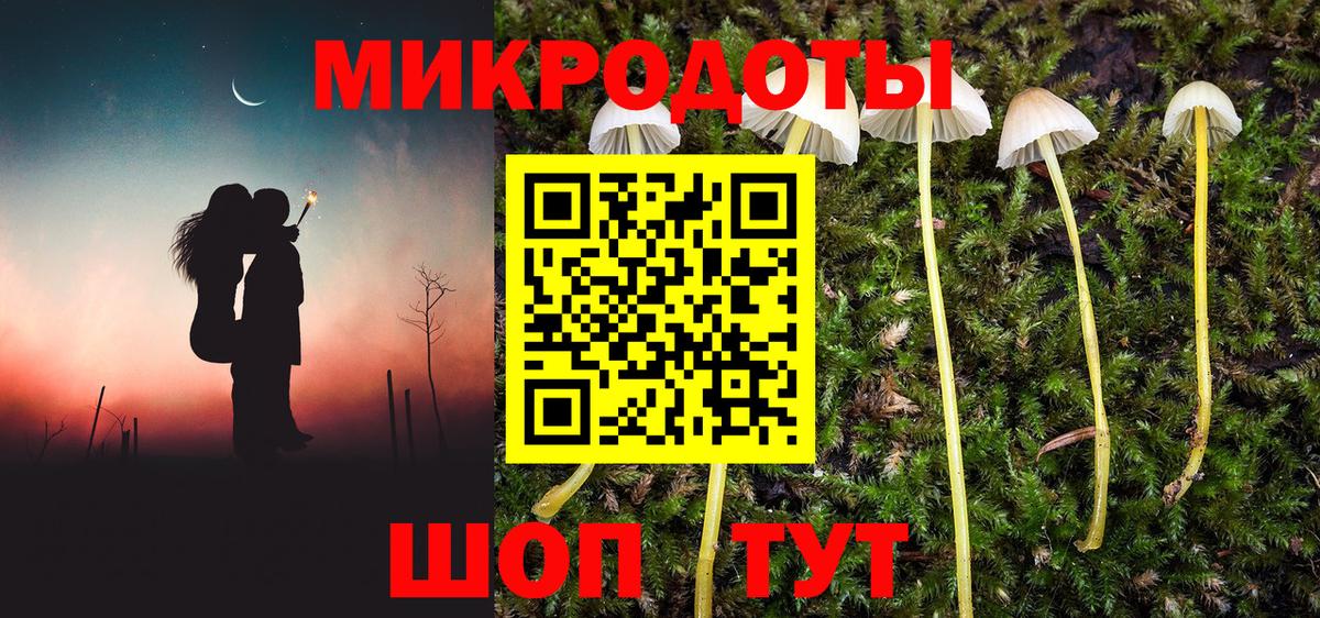 Псилоцибиновые грибы ЛСД  Вход с VPN  купить наркоту  Пушкино 
